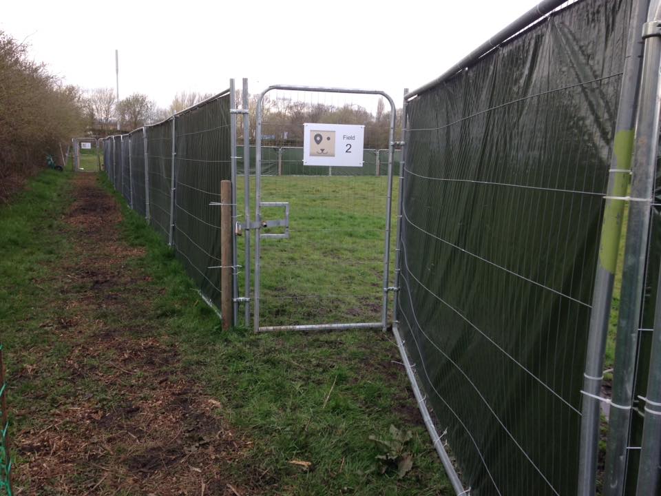 Secure Fields For Dog Walking And Dog Agility Training Field For Hire