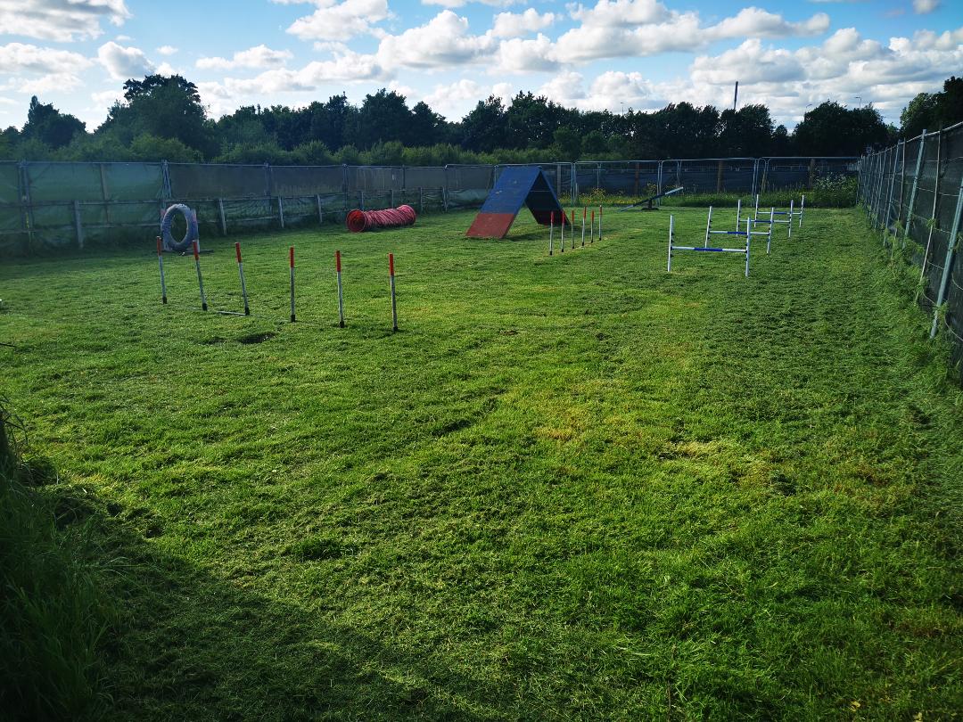 Secure Fields for Dog Walking and Dog Agility Training Field for Hire